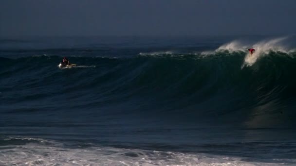 Birden fazla sörfçü dalgalar binmek — Stok video