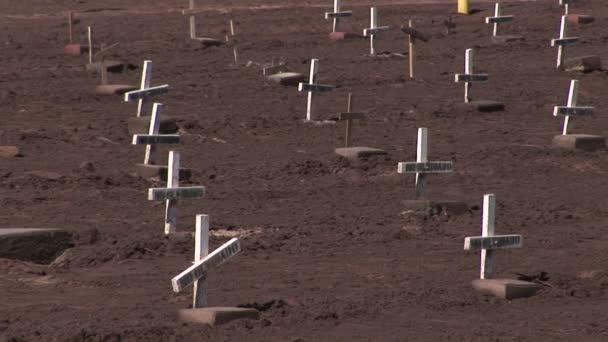 Um cemitério contém linhas de sepulturas — Vídeo de Stock