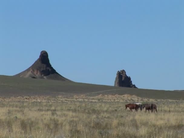 Urwisko wznosi się nad mieszkaniem Indian Pueblo — Wideo stockowe