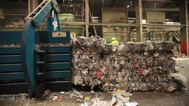 Latas de alumínio são recicladas — Vídeo de Stock