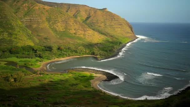 Strandlinjen av Hawaii på dagtid — Stockvideo