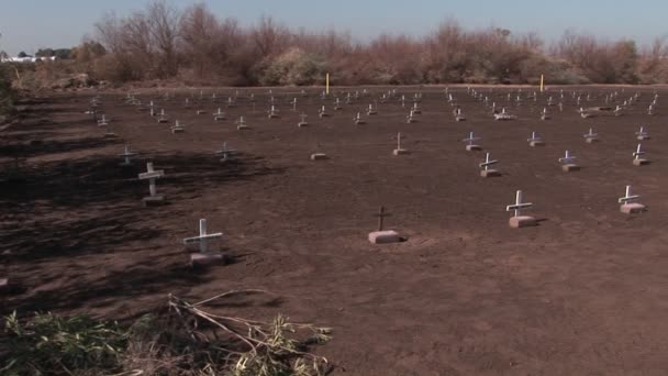 Um cemitério contém linhas de sepulturas — Vídeo de Stock