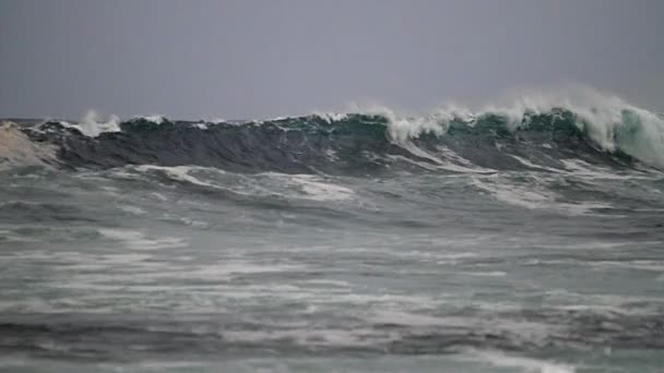 Vagues roulent après une tempête — Video