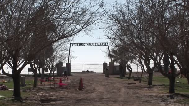 Un solitario visitante pasea por el cementerio — Vídeo de stock