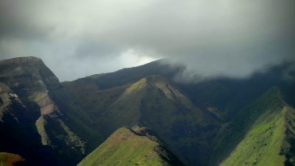 Nuvens se movem sobre a floresta tropical — Vídeo de Stock