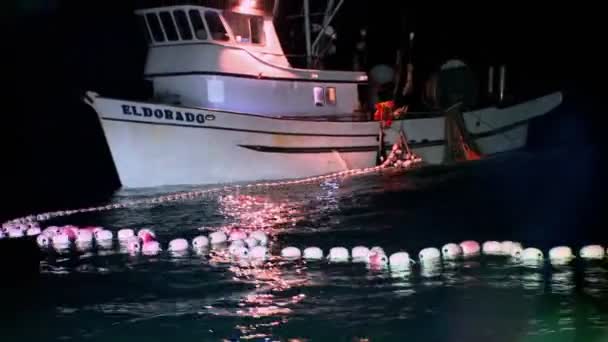 Bir balıkçı ağlarına ile çalışır — Stok video