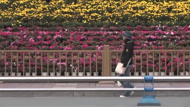 Статуя Moa з видом на жвавій вулиці китайський — стокове відео