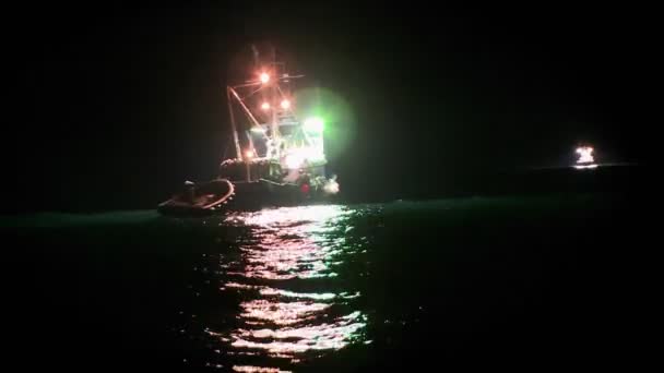 Les coupeurs de poisson travaillent la nuit — Video