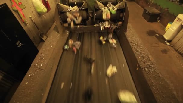 Bouteilles se déplacent le long d'une bande transporteuse — Video