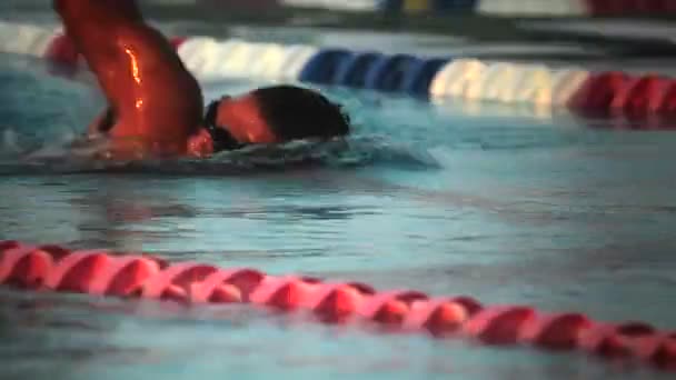 Nadador em pistas em uma piscina — Vídeo de Stock