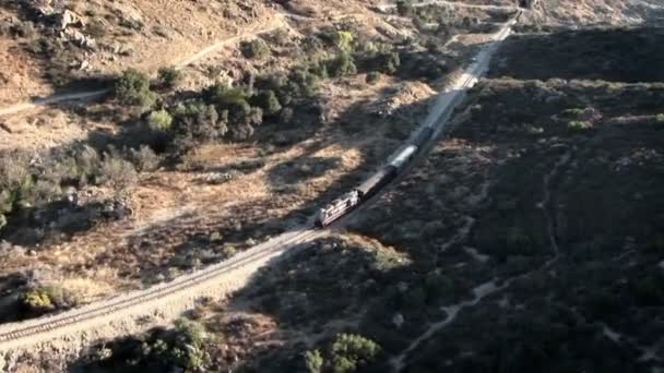 Ett tåg färdas genom sidan land — Stockvideo