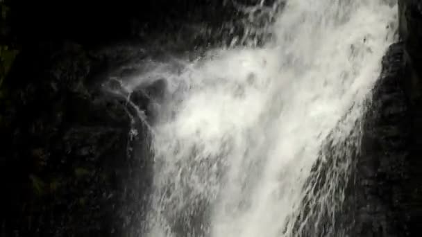 Wasserfall fließt in einen Pool — Stockvideo