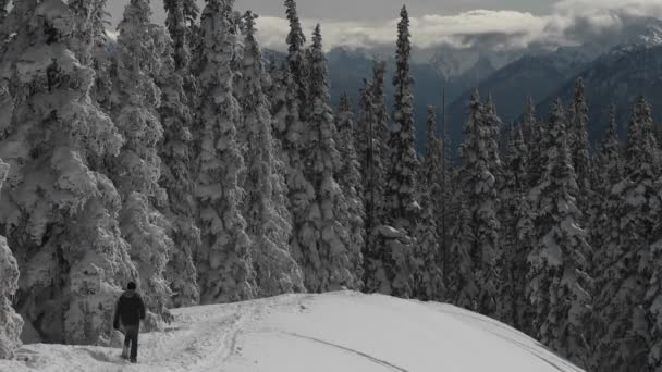 Ein Mann mit Schneeschuhen über einen verschneiten Berghang — Stockvideo