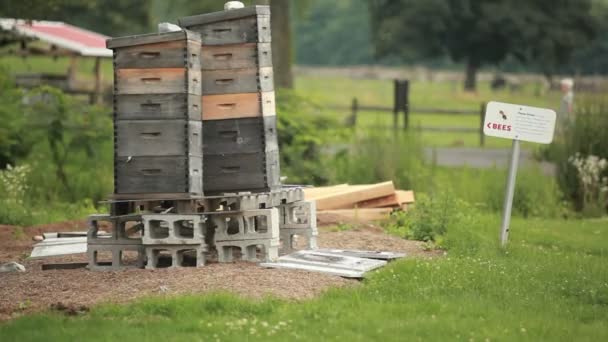 Old boxes stacked outside a community garden — Stock Video