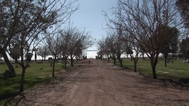 Un camino de tierra arbolado bien recorrido conduce al horizonte — Vídeos de Stock