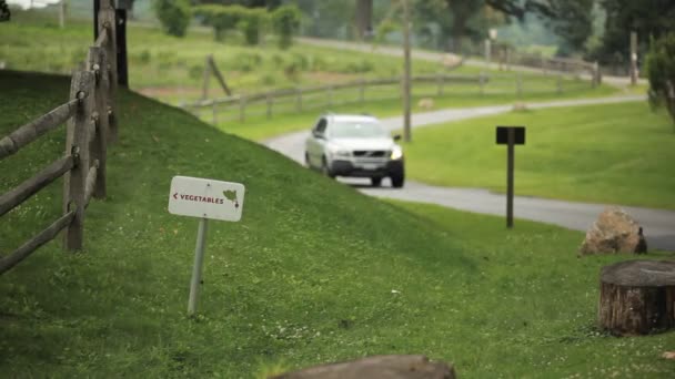 Ein Auto fährt in einen Gemeinschaftsgarten — Stockvideo