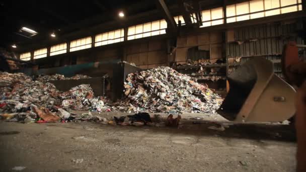 Aluminium blikjes worden gerecycleerd — Stockvideo