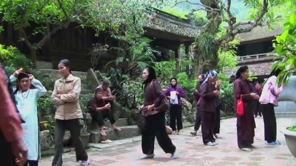 Vietnamesische Frauen praktizieren Tai Chi — Stockvideo
