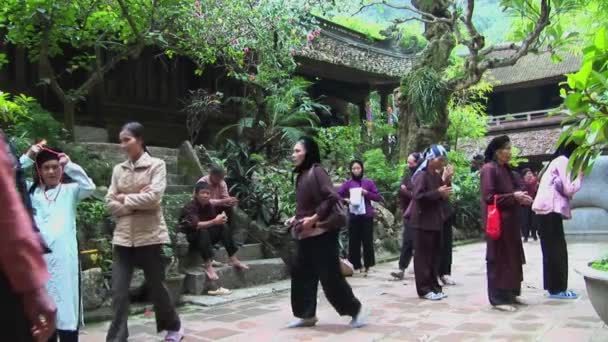 Vietnamees vrouwen praktijk tai chi — Stockvideo