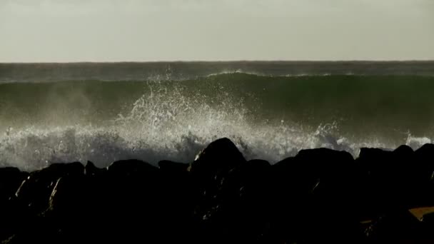 Vågorna krön och paus på en strandlinje — Stockvideo