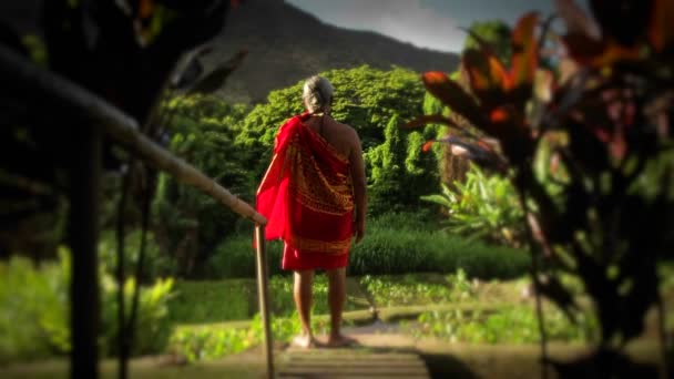Egy bennszülött Hawaii áll nézi a földet — Stock videók
