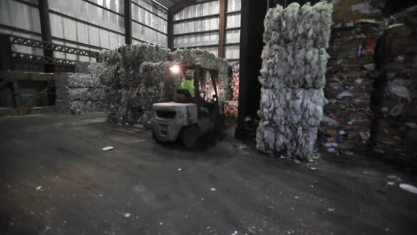 Las latas de aluminio se reciclan — Vídeo de stock