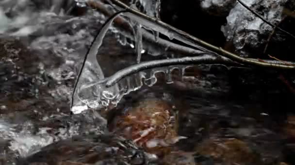 Ледяные сосульки свисают с ветки над рекой — стоковое видео