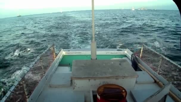 Ein Boot segelt durch das Wasser — Stockvideo