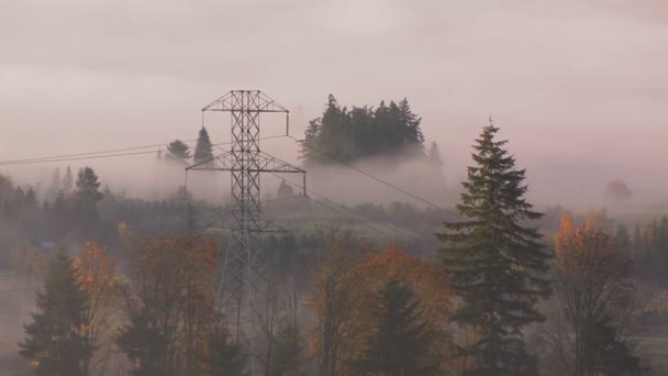 Linhas de energia no nevoeiro — Vídeo de Stock