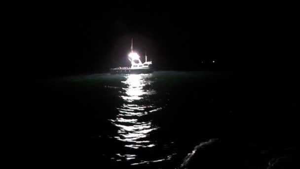 Fish cutters work at night — Stock Video