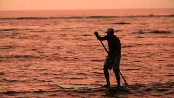 Un hombre paddle surfs — Vídeo de stock