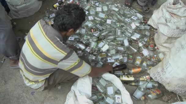 Un hombre está clasificando botellas de vidrio en el suelo — Vídeos de Stock