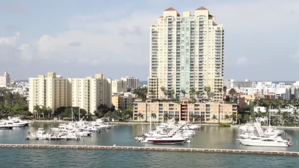 Downtown Miami Florida — Stock Video