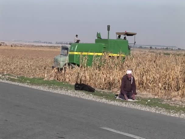 Traktor orze pole w Iranie — Wideo stockowe