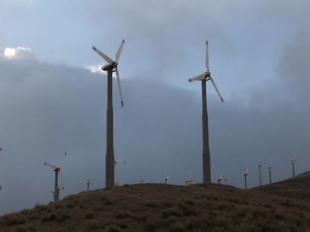 Molinos de viento que generan energía eléctrica — Vídeo de stock