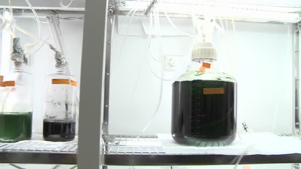 Hnutí z fotografií bioreaktoru vidíme různé druhy kultur — Stock video