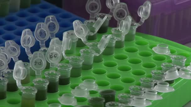 Vários frascos para injectáveis de reacção numa mesa de laboratório — Vídeo de Stock