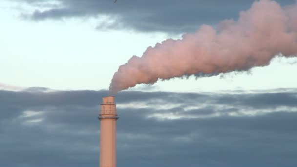 Gás de combustão de uma chaminé numa central eléctrica — Vídeo de Stock