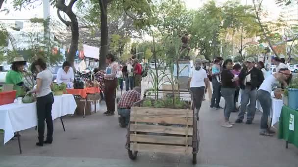 Gente en medio de una avenida en un mercado orgánico — Vídeos de Stock