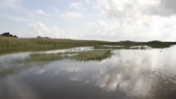 Florida Everglades sürüş sürüş — Stok video