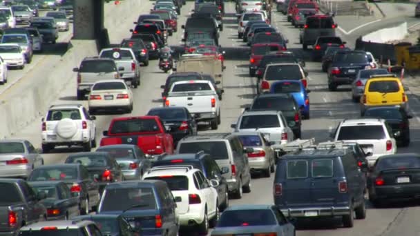 Traffic moves along  freeways — Stock Video