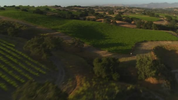 Vista sobre las verdes colinas — Vídeos de Stock