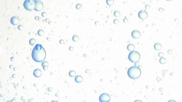 Oil bubbles form liquid patterns — Stock Video