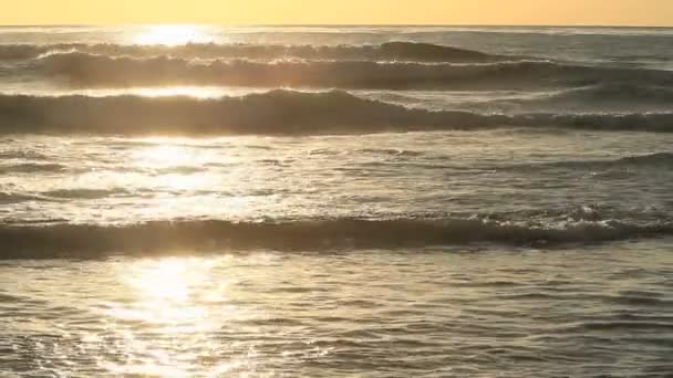 Dalgalar bir plaj rulo — Stok video