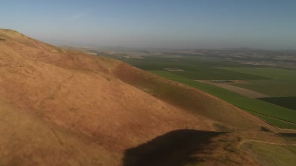 Santa Barbara County vineyards — Stock Video