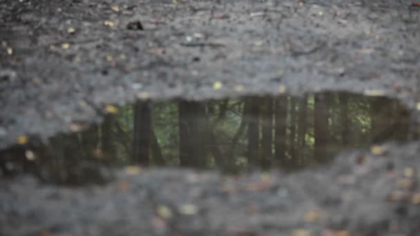 Una mujer corre sobre un charco — Vídeo de stock