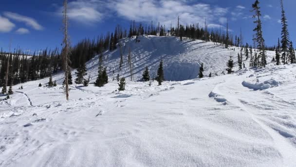 Una montagna innevata — Video Stock