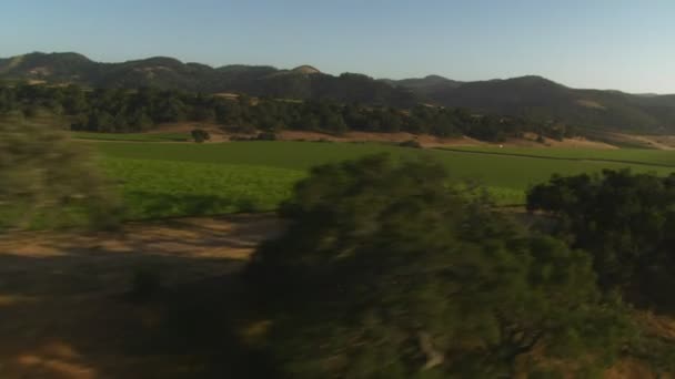 Vista sobre las verdes colinas — Vídeo de stock