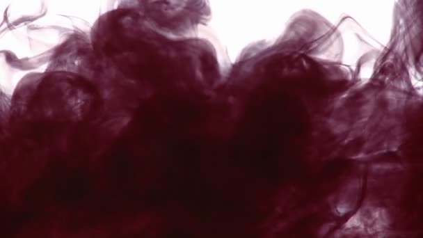Ein dunkler Tintenstoff wird in eine andere Flüssigkeit abgetropft — Stockvideo