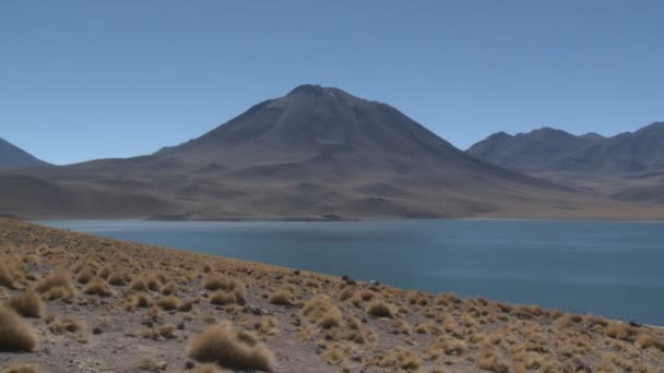 Lago Laguna Miscanti — Vídeo de Stock